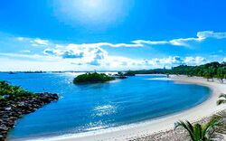 Ocean Drive (D4), Detached #582387671